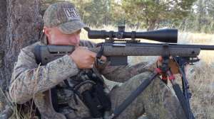 Summer coyote hunting copyright Mark Kayser