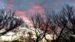 Sunrise Okalhoma Jace Bauserman