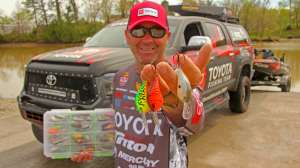 Swindle 3 color cranks