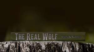 TR Whomepageheader 5brown 2