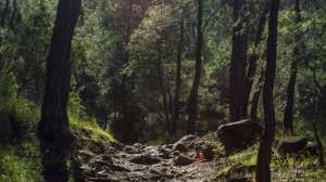 TS 488277035 181003 162035