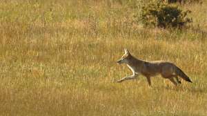 TS 494282011 181003 161515