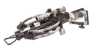 Ten Point Flatline 460 cropped pic