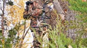 The Any Wind Stand 1 181003 155559