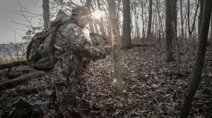 Thiessens field test beauty