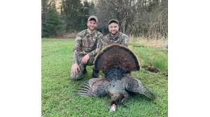 Tim Dobbins turkey pic