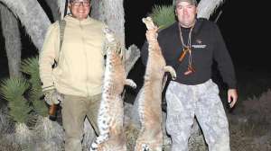 Tim Hovey and Ortega bobcats Own the night