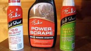 Tinks MELOTIK 181003 160131