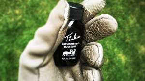 Tinks in the field 1