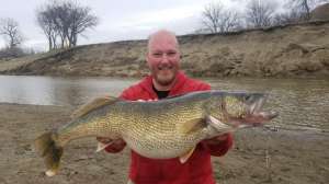 Tom Volk walleye