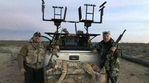 Tommy Briscoe and Robert bobcats high tower truck predator hunting