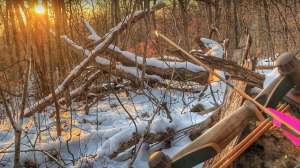 Traditional Bowhunting beauty