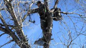 Treestand Muleys