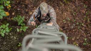 Treestand safety beauty