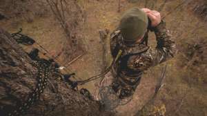 Treestand safety beauty 190821 104131