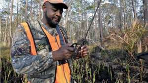 Treestand safety lifeline blaze orange Photo by Florida Fish and Wildlife