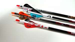 True Color Blazers 2015 181003 160657