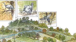 Turkey Schedule lead1