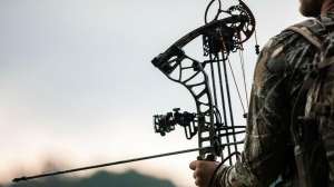 Two New Bear Bows beauty