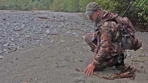 Vancouver Black Bear