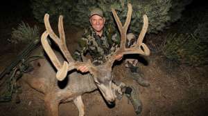 Velvet racked muleys beauty