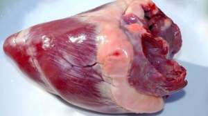 Venison heart 12 4 10 002 2 e1532994155946