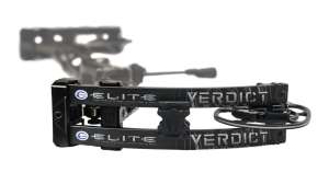 Verdict Limbs cropped