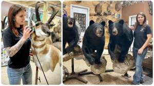 Video taxidermy why take so long