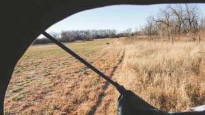 WB315 Whitetail buck returning to food plot during the rut copyright Mark Kayser