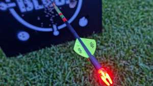 WE Blumenok2 181003 155044