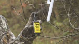 WRC Coyote Urine copy