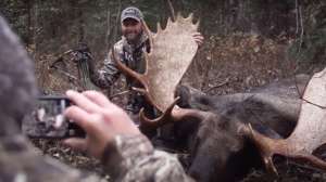 Waddell Yukon moose pic