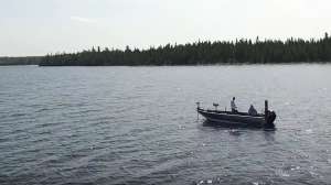 Walleye Canada beauty