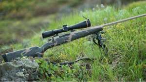 Weatherby Mark V Backcountry