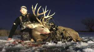 Web Tech Bow Accessory 7