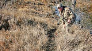 Whitetail Science checking deer trail