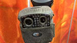Wildgame Innovations camera 181003 160315