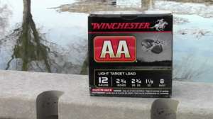 Winchester AA 181010 154957