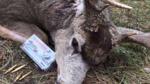 Winchester Deer Season