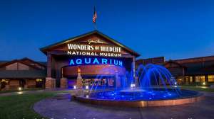 Wonders of Wildlife feature cropped