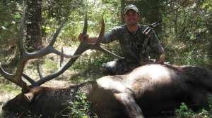 Work Those Elk Ryan Greene Bull2 700 181003 160358