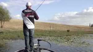 Yamamoto Psycho Dad fishing