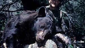 Young Black Bear On Your Own 181003 161649