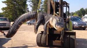 Yout Tube Screen Shot 2014 08 18 at 824