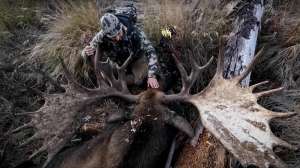 Yukon moose hunt lead pic bow