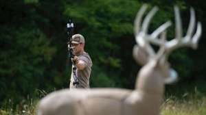 Aiming at 3d buck target