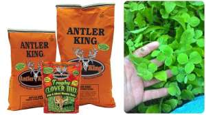 Antler king trophy clover mix collage