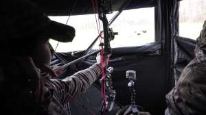 Arrowed your decoy pic