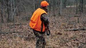 Art stalking june lead 181003 155812