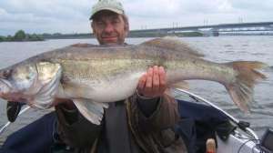 August fish lead 181004 084743